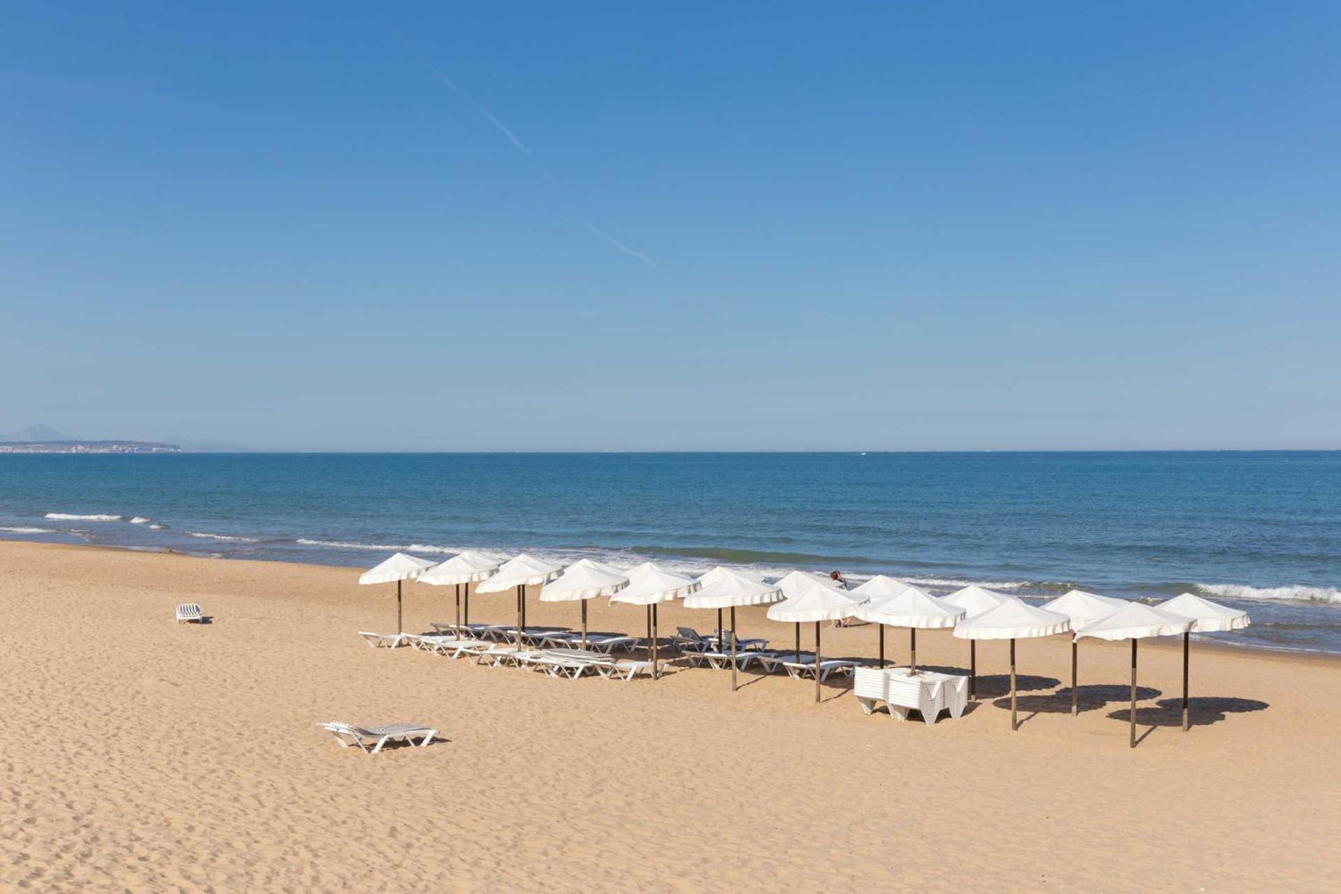 Sandy Coast
